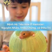 Bệnh Hệ Tiêu Hóa Ở Hamster: Nguyên Nhân, Triệu Chứng, và Điều Trị
