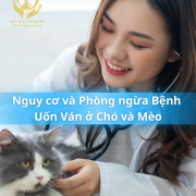 Nguy cơ và Phòng ngừa Bệnh Uốn Ván ở Chó và Mèo