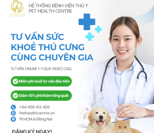Dịch Vụ Tư Vấn Online & Video Call Cùng Chuyên Gia Thú Y Tại Pet Health Centre