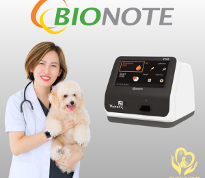 Nâng tầm chăm sóc sức khỏe thú cưng với bionote vcheck v200 tại pet health centre