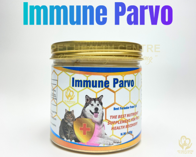 Immune Parvo: Bí Kíp Giúp Boss Cưng Hồi Phục Nhanh Chóng